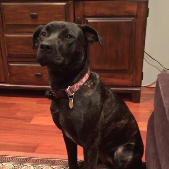 Meet your Posher, Jeff - Picture 1 of 1